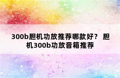 300b胆机功放推荐哪款好？ 胆机300b功放音箱推荐